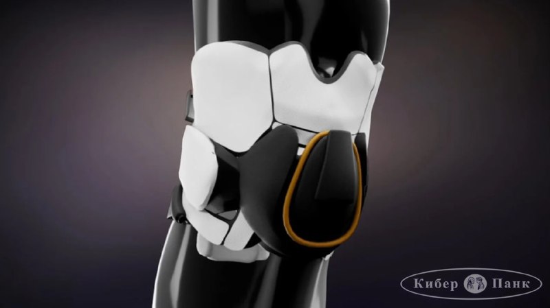 Инновация в спортивной безопасности: коленный рукав от стартапа Hippos Exoskeleton