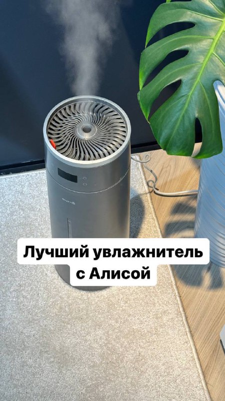 Лучший увлажнитель: опыт использования и замена