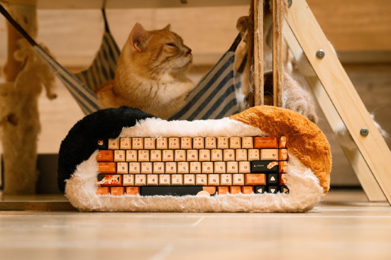 Новая механическая клавиатура Petbrick 65 от Dry Studio