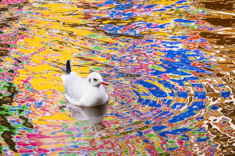 Победители фотоконкурса Nature Photographer of the Year 2024