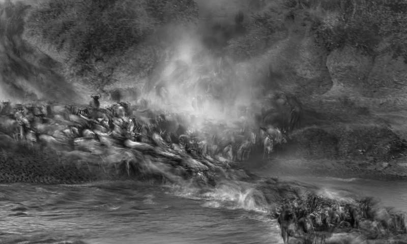 Победители фотоконкурса Nature Photographer of the Year 2024