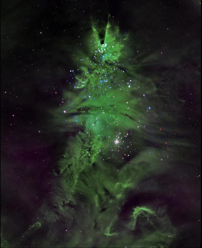 Космическое «дерево» от NASA: звездное скопление NGC 2264