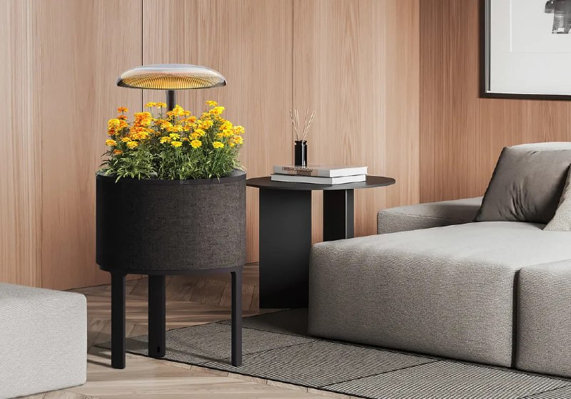 Инновационная лампа для сада от LG на CES 2025