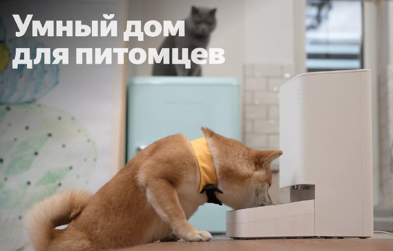 Умные технологии для удобства питомцев