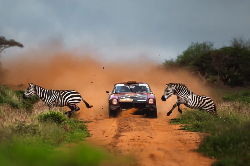 Победители World Sports Photography Awards 2025: самые яркие спортивные моменты
