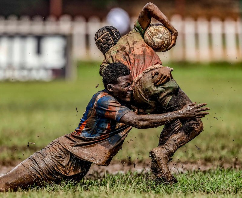 Победители World Sports Photography Awards 2025: самые яркие спортивные моменты