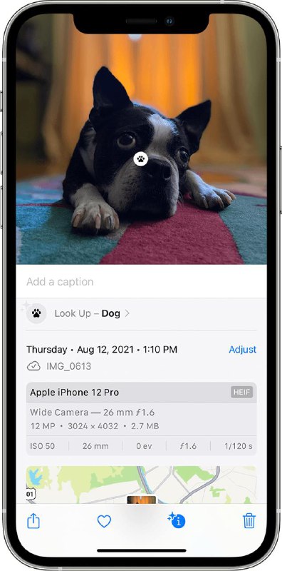 Новые возможности iOS 17: Функция распознавания изображений