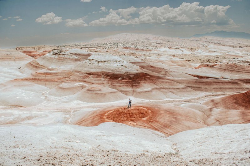 Молодые таланты на Sony World Photography Awards 2025