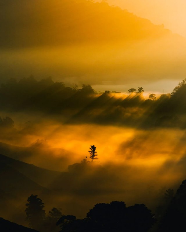 Молодые таланты на Sony World Photography Awards 2025
