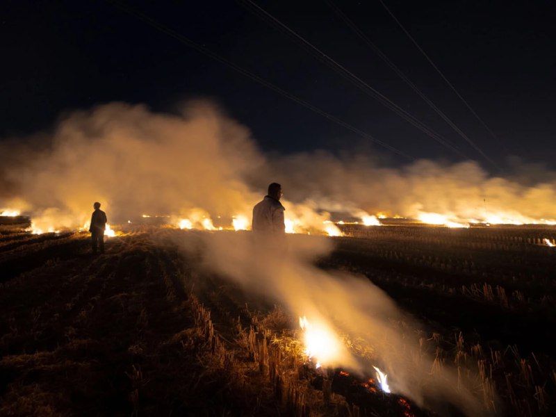 Молодые таланты на Sony World Photography Awards 2025