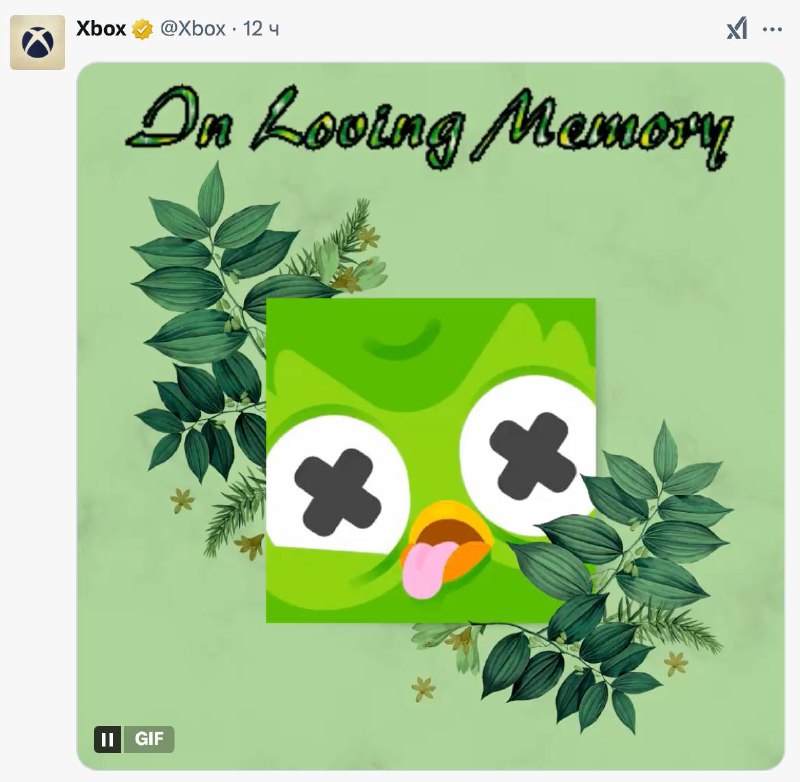 Смерть маскота Duolingo: печальный символ игнорирования языков