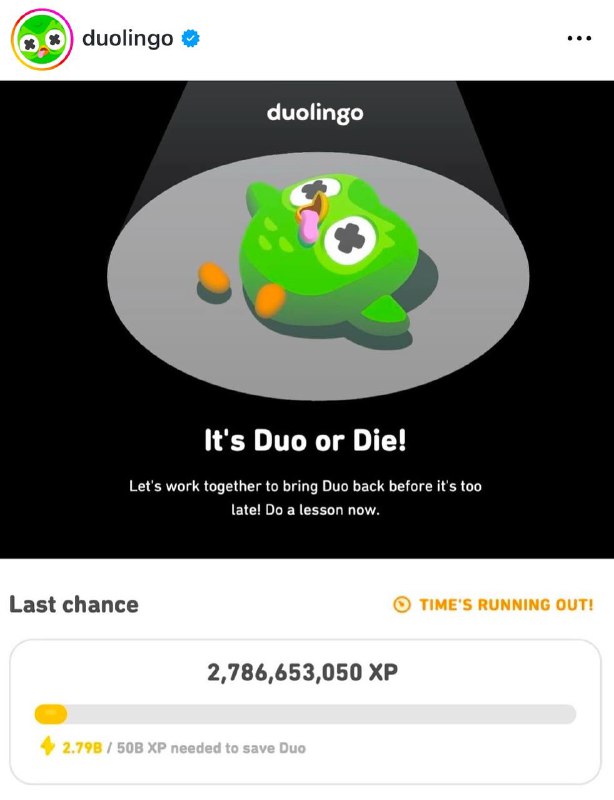 Новая игра от Duolingo: разгадай судьбу Совёнка