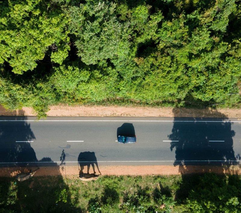 Итоги фотоконкурса Nature inFocus 2024