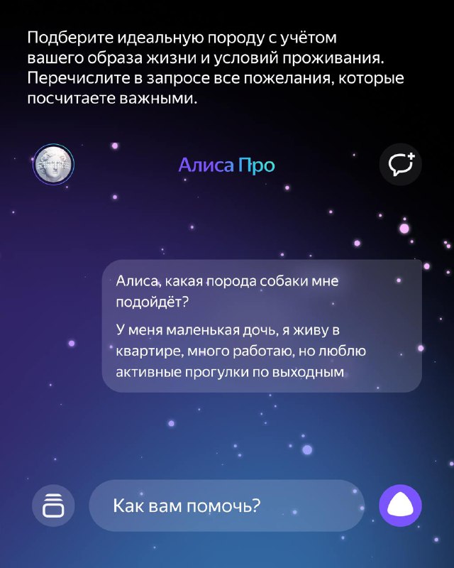 Как Алиса поможет стать владельцем собаки