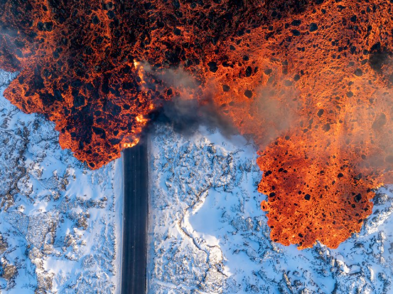 Победители конкурса World Nature Photography Awards 2025