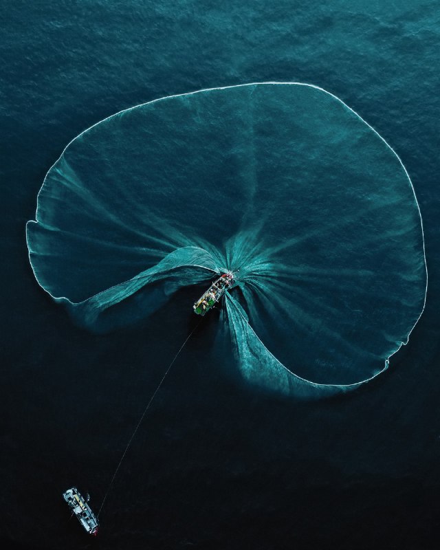 Победители конкурса World Nature Photography Awards 2025
