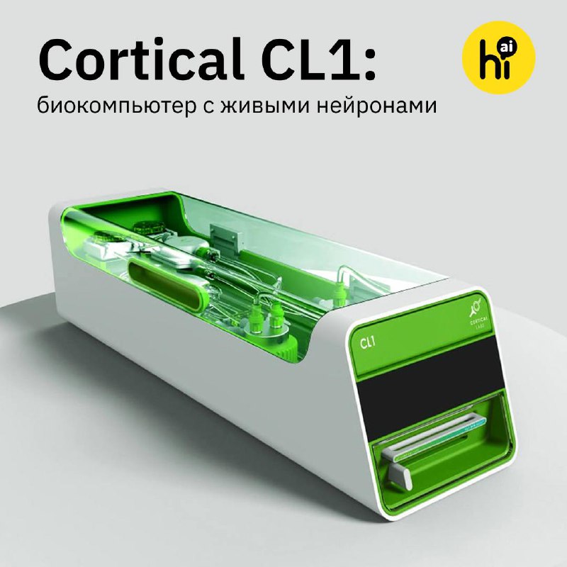 Первый биокомпьютер с нейронами человека: новая эра технологий