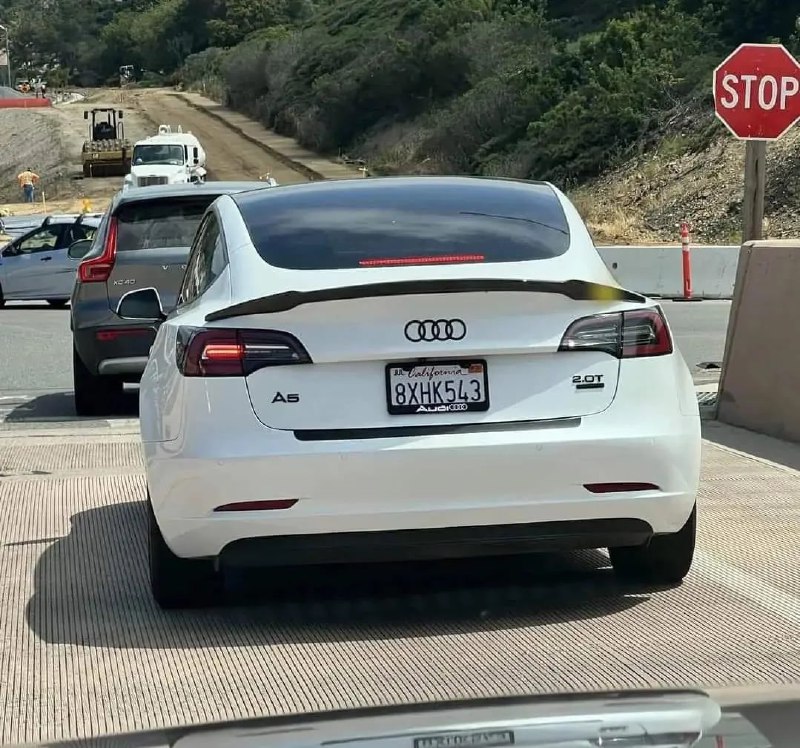Защита Tesla: американцы маскируют автомобили