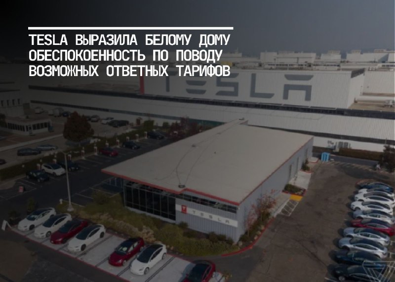 Tesla предупреждает о рисках ответных тарифов для автопрома США