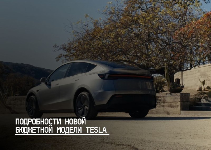 Новый доступный электромобиль от Tesla: начало производства и планы компании