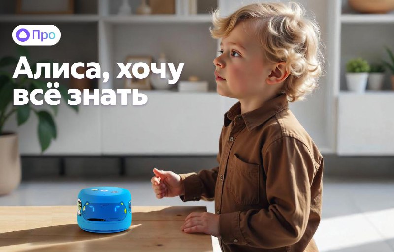 Увлекательные квесты с Алисой для детей