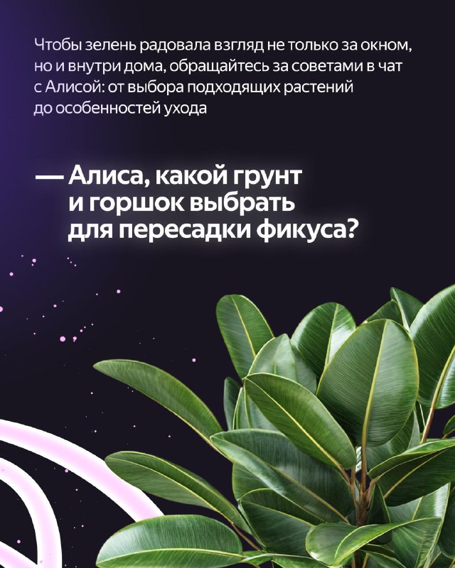 Весеннее обновление квартиры с помощью Алисы