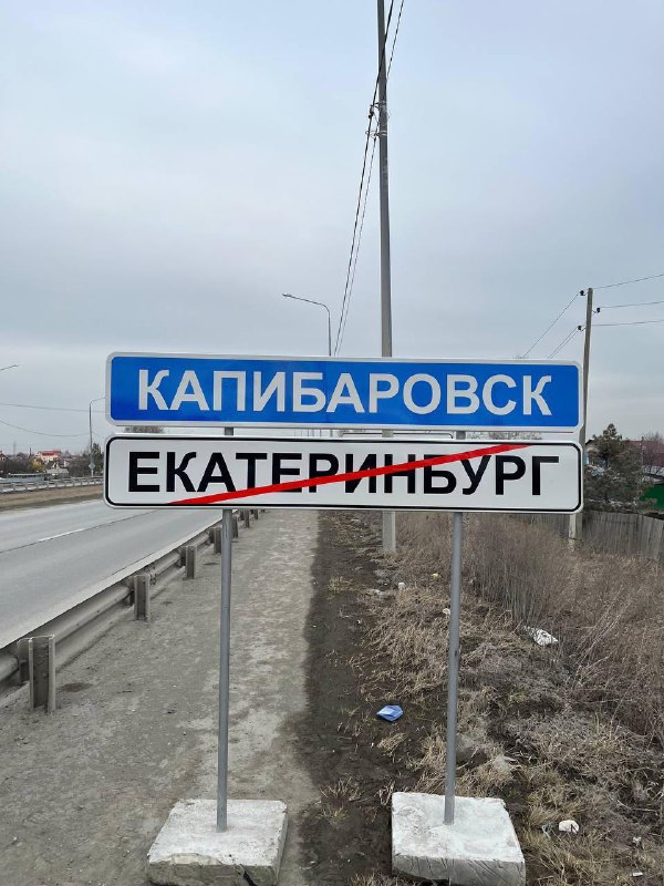 Екатеринбург становится Капибаровском: необычные изменения в городе
