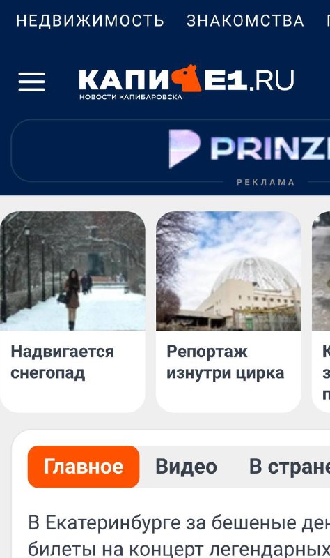 Екатеринбург становится Капибаровском: необычные изменения в городе