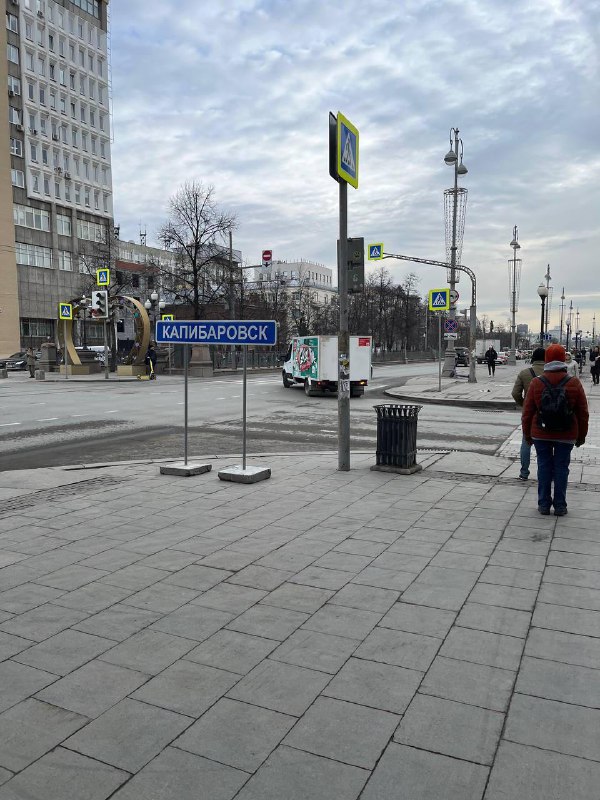 Екатеринбург становится Капибаровском: необычные изменения в городе