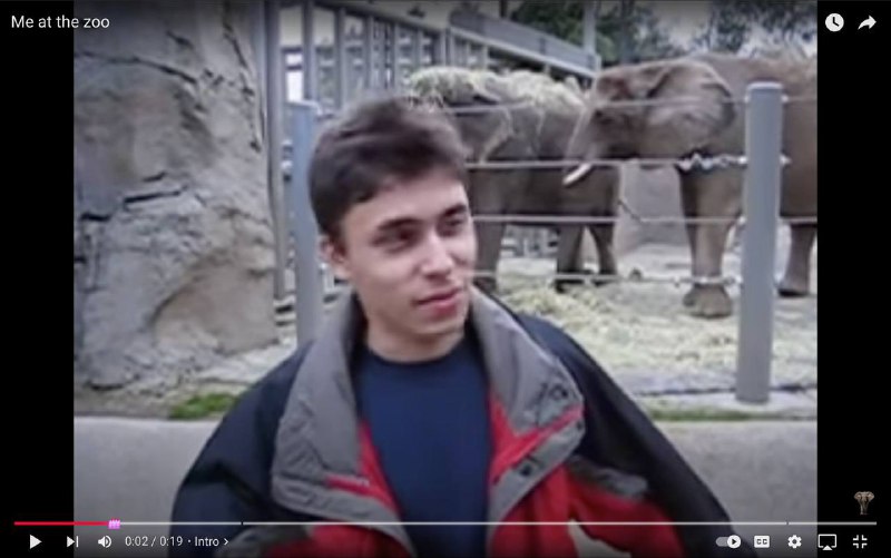 Долгая история первого видео на YouTube и его влияние