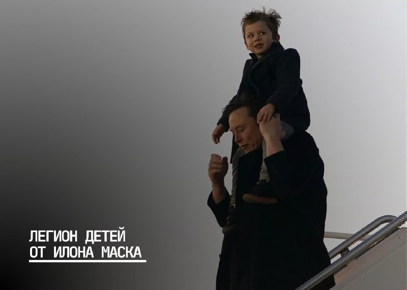 Гениальная идея Илона Маска по поддержке рождаемости и её последствия