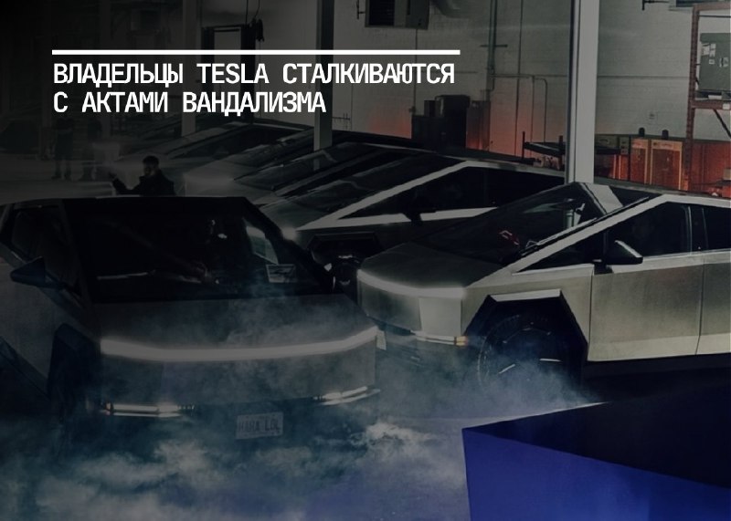 Исследование владельцев Tesla: безопасность и лояльность к бренду