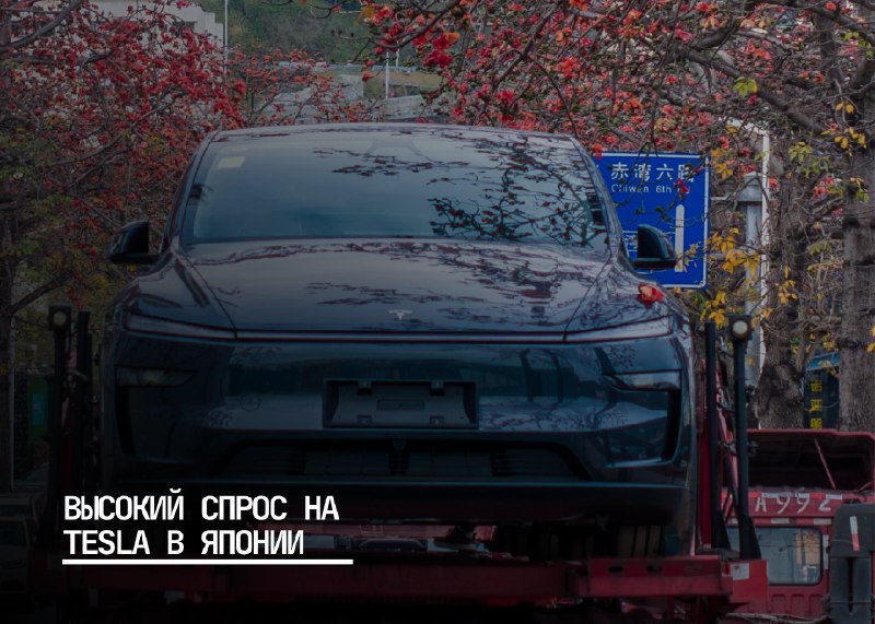 Tesla демонстрирует лидерство на японском рынке электромобилей в 2025 году