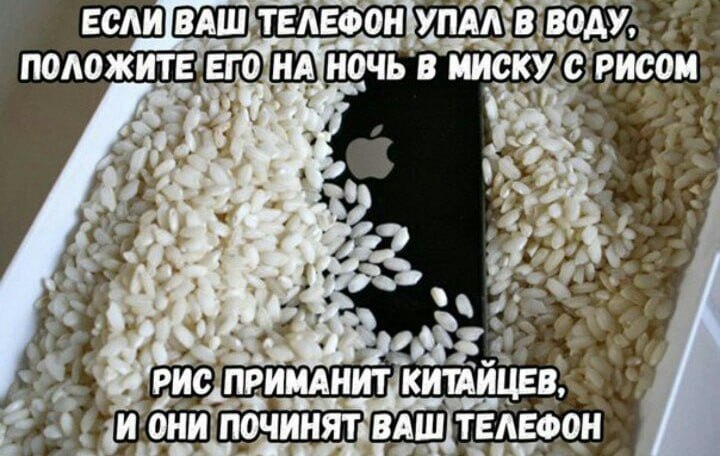 Мифы о методах сушки мокрых смартфонов: что действительно помогает