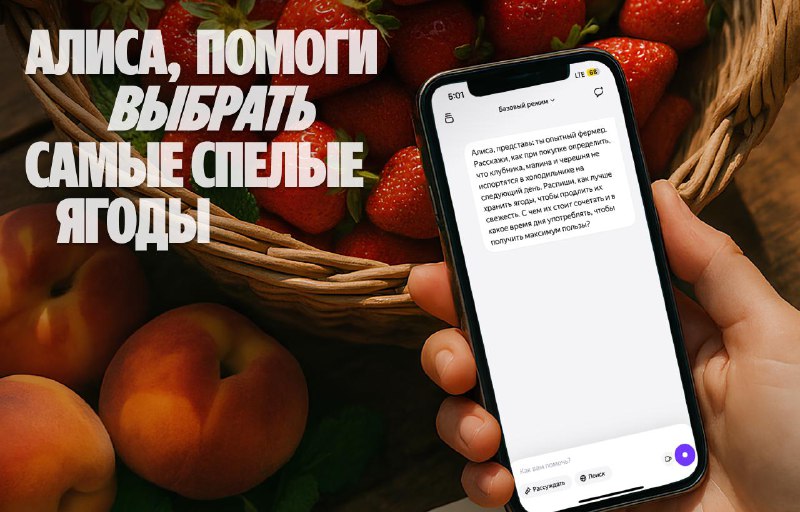 Как Алиса поможет выбрать свежие летние ягоды и фрукты на рынке