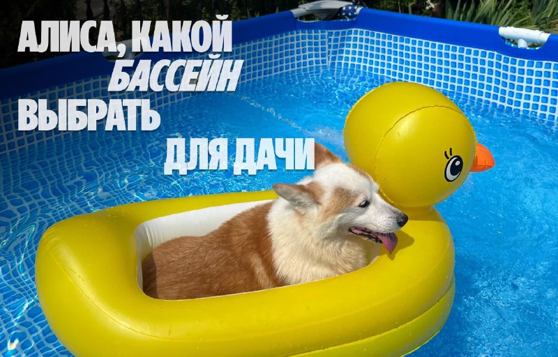 Создание комфортного бассейна на даче с помощью Алии и нейросети