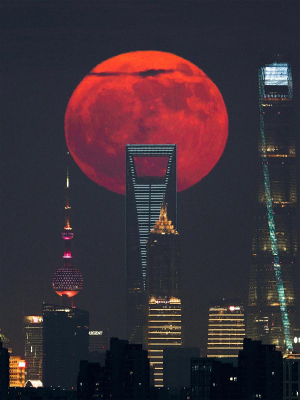 Объявлены финалисты конкурса астрофотографий ZWO Astronomy Photographer of the Year 2025