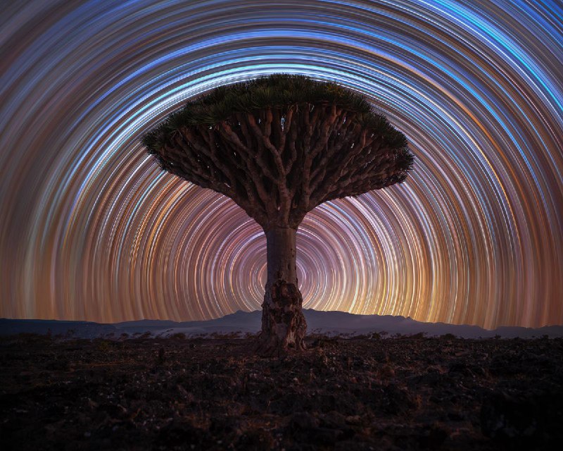Объявлены финалисты конкурса астрофотографий ZWO Astronomy Photographer of the Year 2025