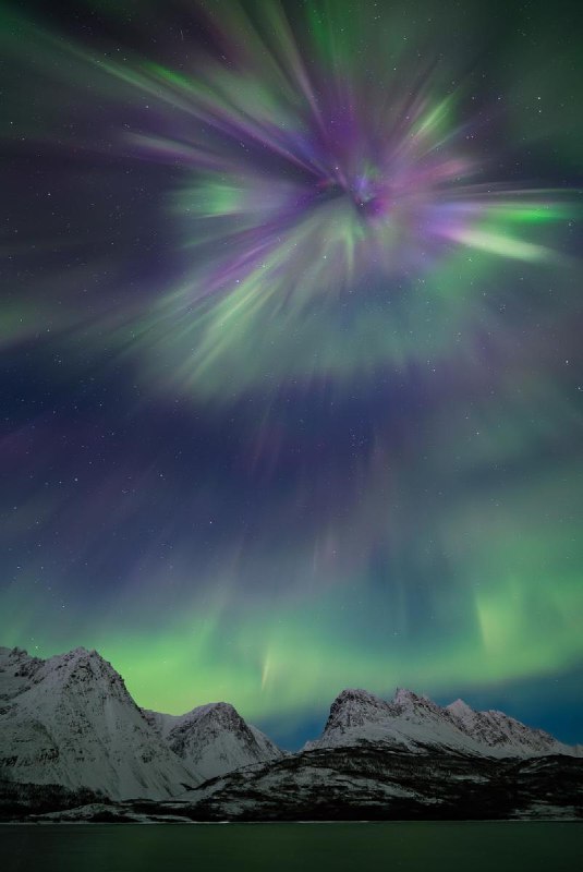 Объявлены финалисты конкурса астрофотографий ZWO Astronomy Photographer of the Year 2025