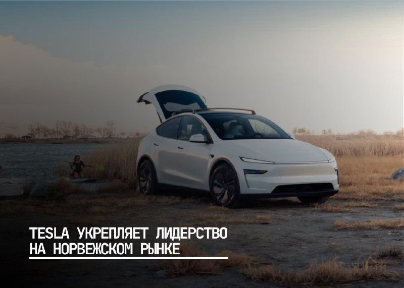 Tesla увеличивает позиции на норвежском рынке благодаря популярности Model Y